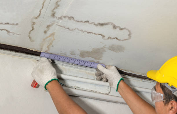 Reliable Water Damage contractor in New Bedford, PA by Water Damage Irwin